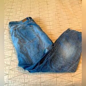 Judy Blue Skinny Jeans 20W